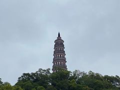 -顺峰山公园