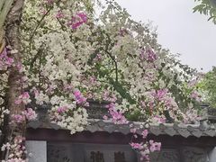 -深圳国际园林花卉博览园