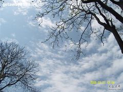 -西安化觉巷清真大寺