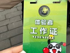 -都江堰中华大熊猫苑