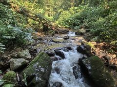 -莫里热带雨林景区