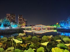 -西海子公园