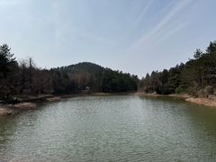 -四明山国家森林公园