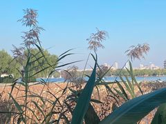 -济南大明湖景区