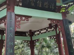 -雀儿山公园