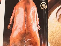 -锦粤宫·精致粤菜(深圳北站店)