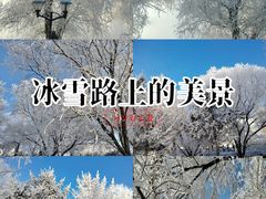 -雾凇岛
