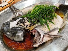 -华信美食