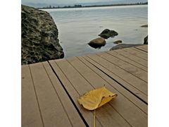 android_upload_pic-西昌邛海湿地