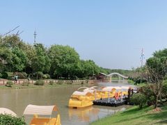 -上海海湾国家森林公园