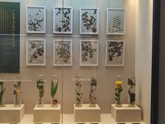 -广东中医药博物馆