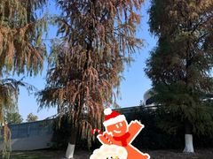 -漩门湾国家湿地公园