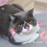 OMG！是心动的六一！