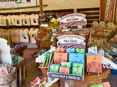 -大象粑粑造纸公园