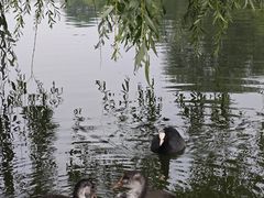 -前关湿地公园