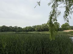 -北坞公园
