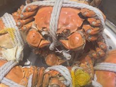 -杨氏青龙虾·羊蝎子(托乐嘉店)
