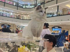 -梅龙镇广场