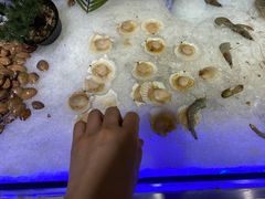 -比尔森韩式烤肉自助(国商店)