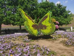 -沈阳植物园