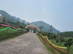 -天目湖松岭竹海漂流