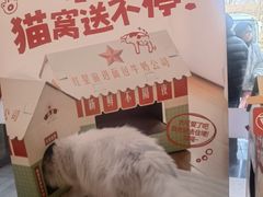 -红星前进面包牛奶公司(五道口购物中心店)