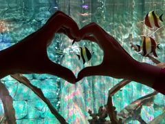 -沈阳海洋探索中心