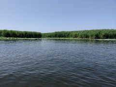 -白洋淀风景区