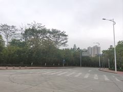 -大亚湾红树林城市湿地公园