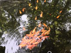 -恭王府博物馆