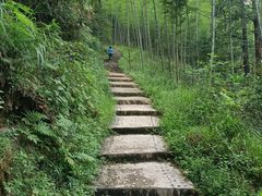 -炎陵县神农谷国家森林公园