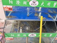 -阳澄湖大闸蟹·琼灵阁牌品牌连锁(吴中总店)