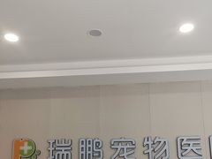 -瑞鹏宠物医院·骨科·猫科·内科(第一中心)