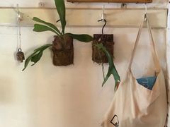-春风十里咖啡馆