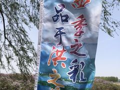 -丁香湖公园