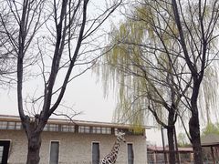 -石家庄市动物园