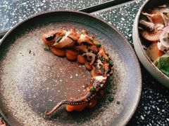 -Apollo·西班牙小酒馆(安福路店)