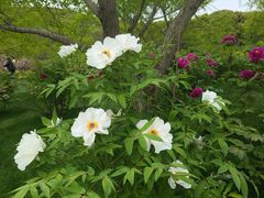 -苏州上方山国家森林公园