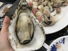 -蚝专家