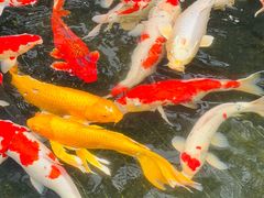 -聚福宝合苑食府(南头镇店)