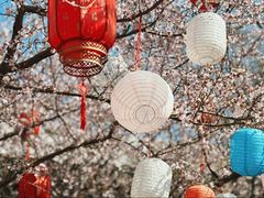 -春风习习