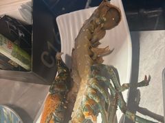 -雍容荟帝王蟹活龙虾展台自助(IFS黑金店)