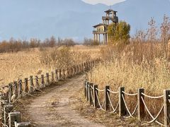 -野鸭湖国家湿地公园