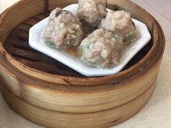 -满福隆酒楼(万绿园店)