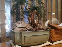 -竹里馆·淮扬菜·功夫茶(老门东店)