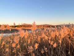 -野鸭湖国家湿地公园