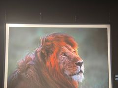 -罗红摄影艺术馆