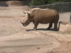 -泉州海丝野生动物世界