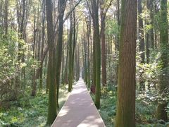 -同里国家湿地公园