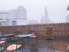 -小先生琴行(科园路店)
